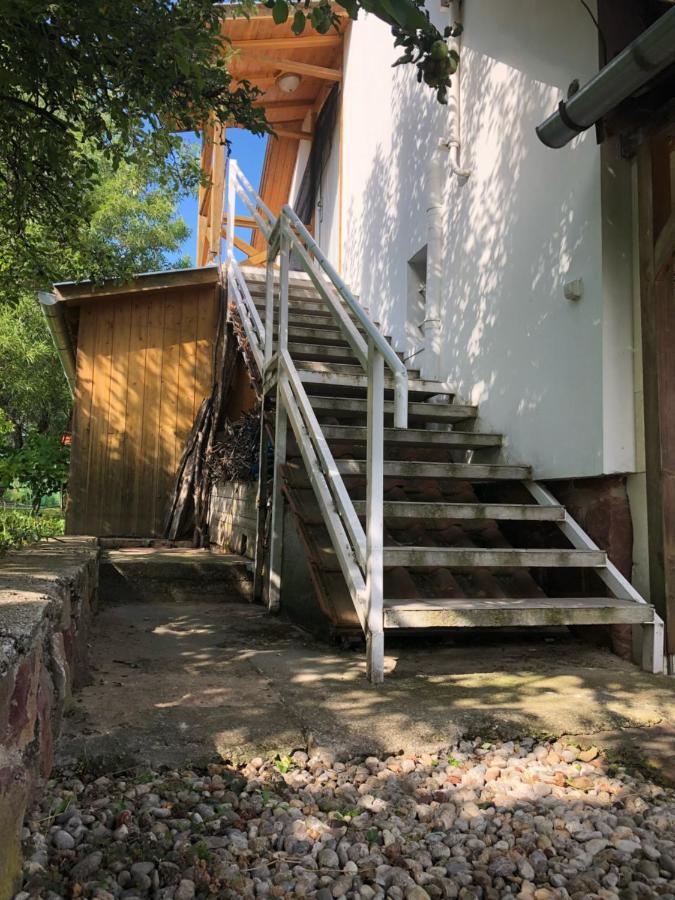 Szoloskert Studio Apartman Ábrahámhegy Exterior foto